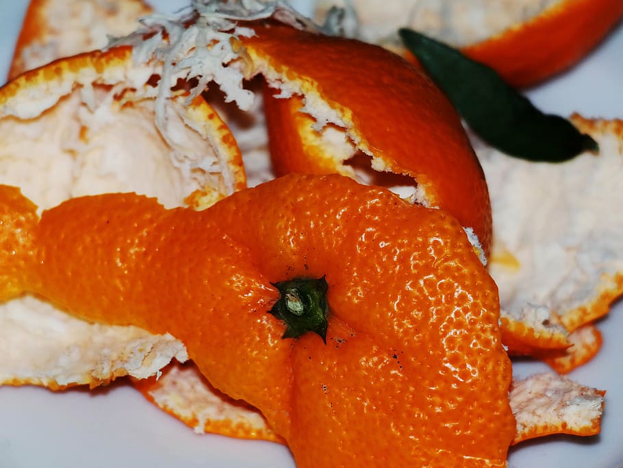 orange fruit skin, orange peel, shell, orange, close, surface, structure, datailaufnahme, peeled, waste