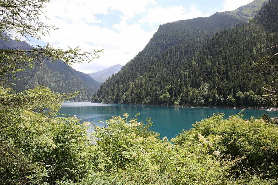 jiuzhaigou, agua, árbol, Scenics - naturaleza, montaña, belleza en la naturaleza, planta, escena tranquila, tranquilidad, lago