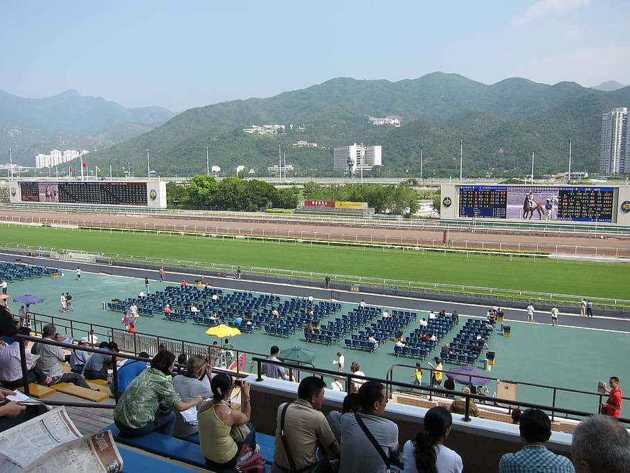 hong kong, horse races, horseracing Track, flat Racing, horse Racing, equestrian Event, animal Sport, racehorse, japan Racing Association, sports Track