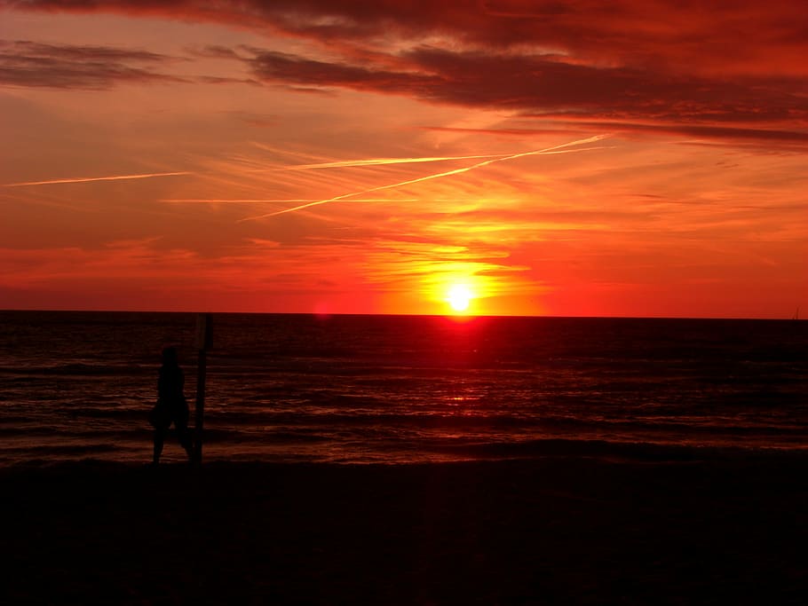 男, 立っている, 海岸, 日没, シルト, 夕暮れ時, 雲, 赤, 海, ビーチ