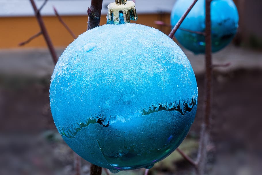 hoarfrost, christbaumkugeln, winter, cold, frozen, white, blue, garden, sphere, close-up