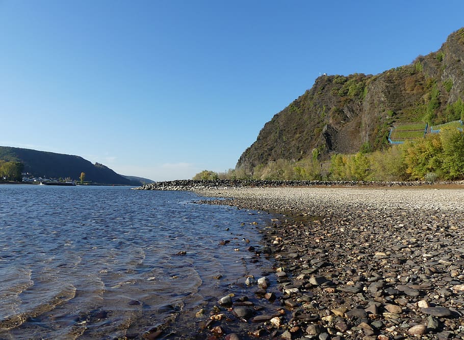 rhine, rhine brohler ley, water, low tide, bank, rock, middle rhine, sky, clear sky, beauty in nature