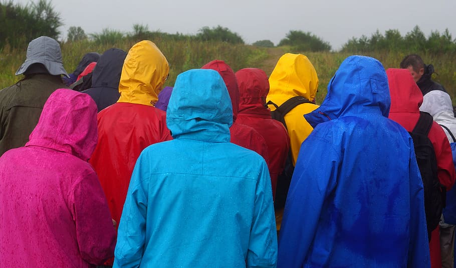 rainy weather, rainwear, regnjakker, rain, flurry, outdoor, outdoors, people, group of people, rear view