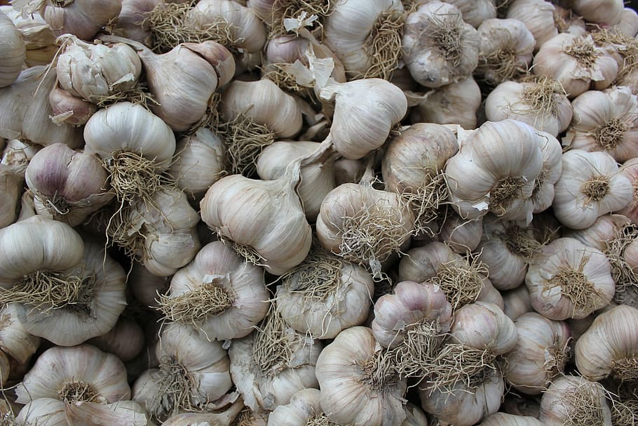 garlic, texture, background, natural, white, spice, ingredient, garlic bulb, food and drink, vegetable