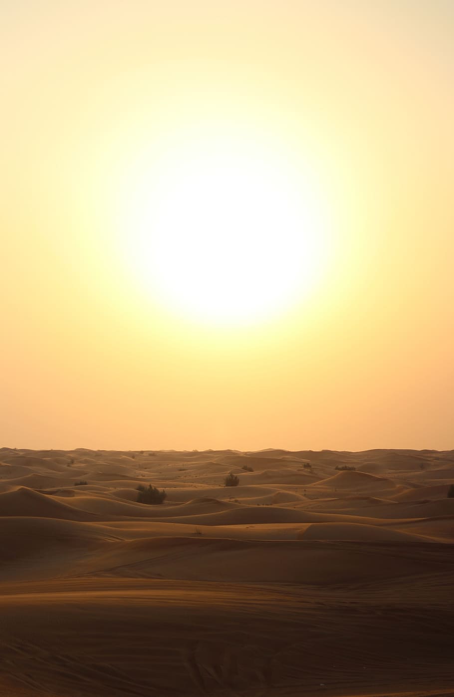 paisaje desértico, puesta de sol, desierto, paisaje, cielo, arena, seco, naranja, al aire libre, paisaje puesta de sol