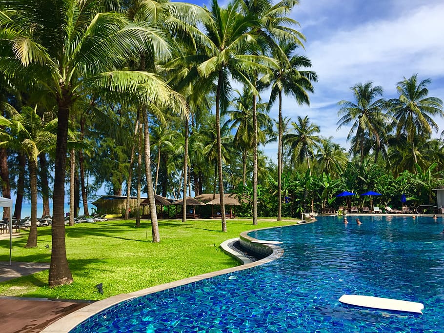 ground pool, surrounded, trees, daytime, Thailand, Beach, Resort, Travel, beach, resort, vacation