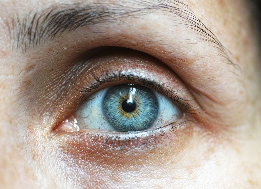 person, left, blue, eye, eyebrow, eyelash, human eye, human face, close-up, femininity