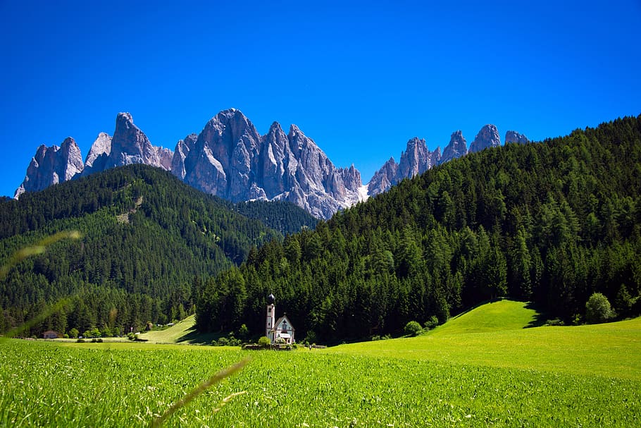 white, house, grass field, forest, val di funes, church, italy, nature, mountains, dolomites