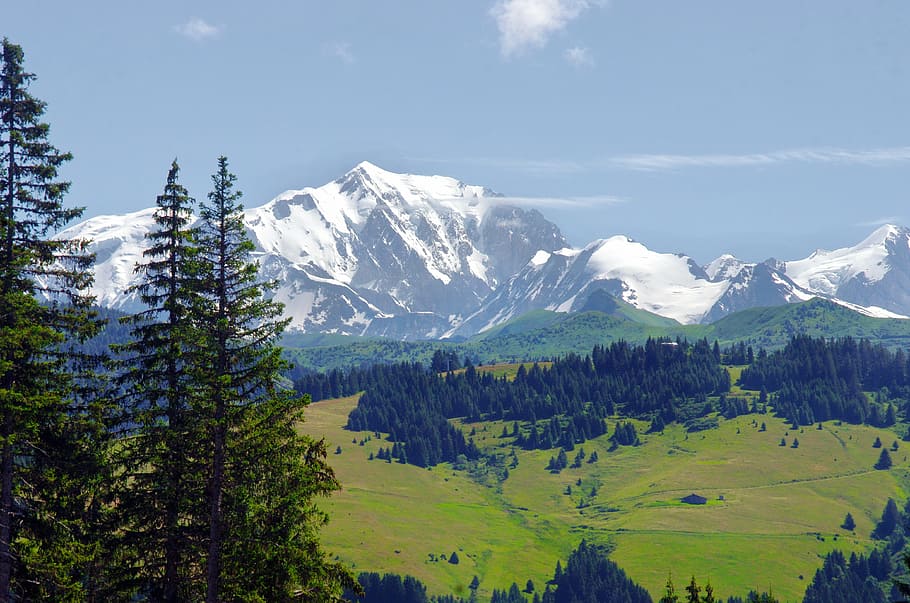 foto, verde, lote de pinos, hielo, cubierto, montaña, durante el día, Francia, Alpes, el macizo del Mont Blanc