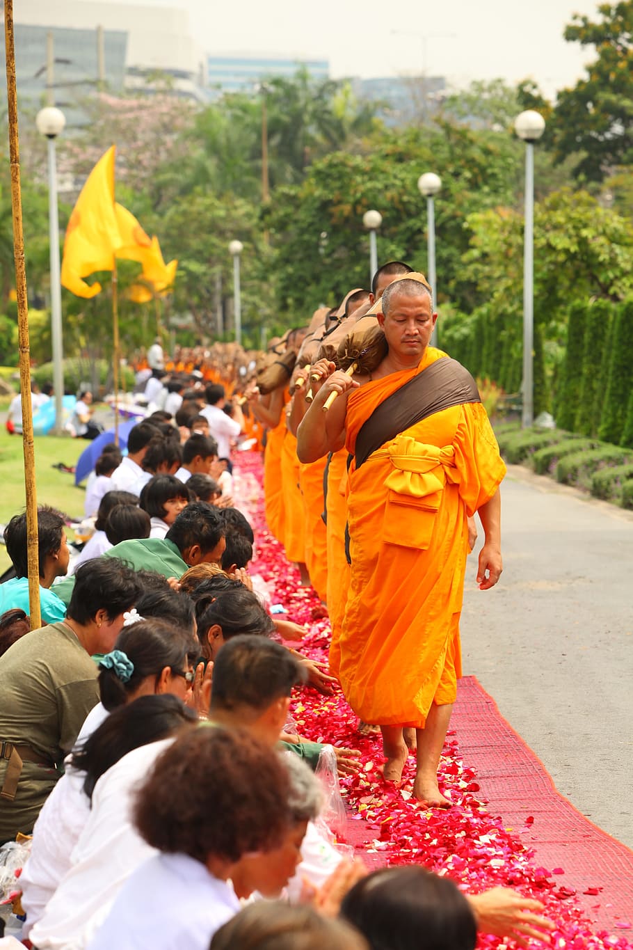 Buddhists, Robes, Monks, Walk, Tradition, orange, ceremony, people, thailand, buddhism