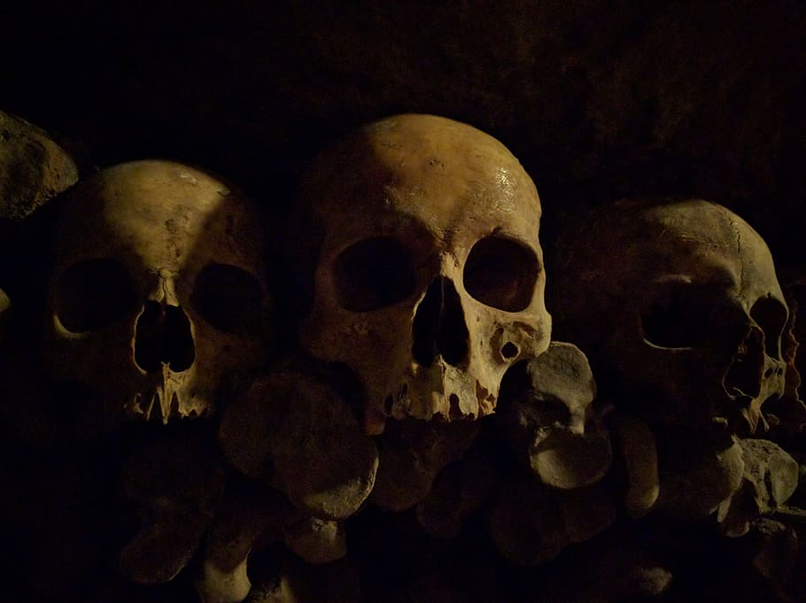 skull, the catacombs, bone, human skeleton, human skull, human bone, human body part, spooky, skeleton, horror