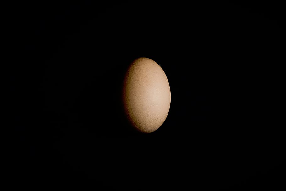 half moon wallpaper, black, shadow, egg, light, brown, food, animal Egg, freshness, eggs