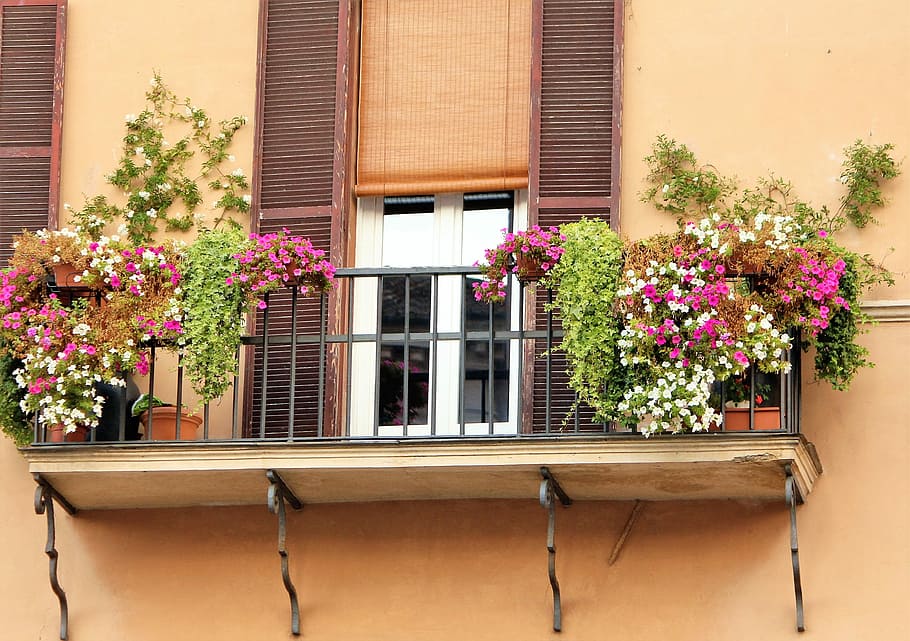 Romantic, Facade, Balcony, floral decorations, flower, window, plant, building exterior, outdoors, flowering plant