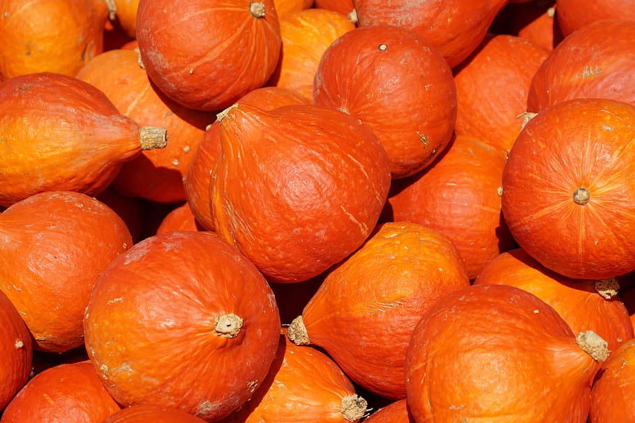丸いオレンジ色の果物 カボチャ オレンジ 収穫 食べ物 秋 自然 カボチャの秋 野菜 健康 Pxfuel