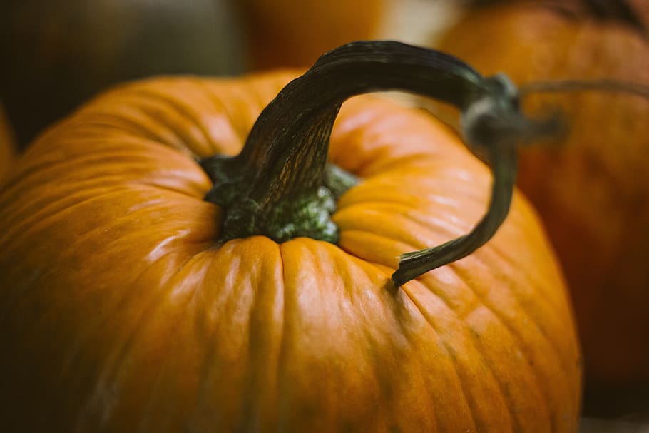 pumpkins, halloween, food, pumpkin, vegetable, food and drink, autumn, healthy eating, orange color, freshness