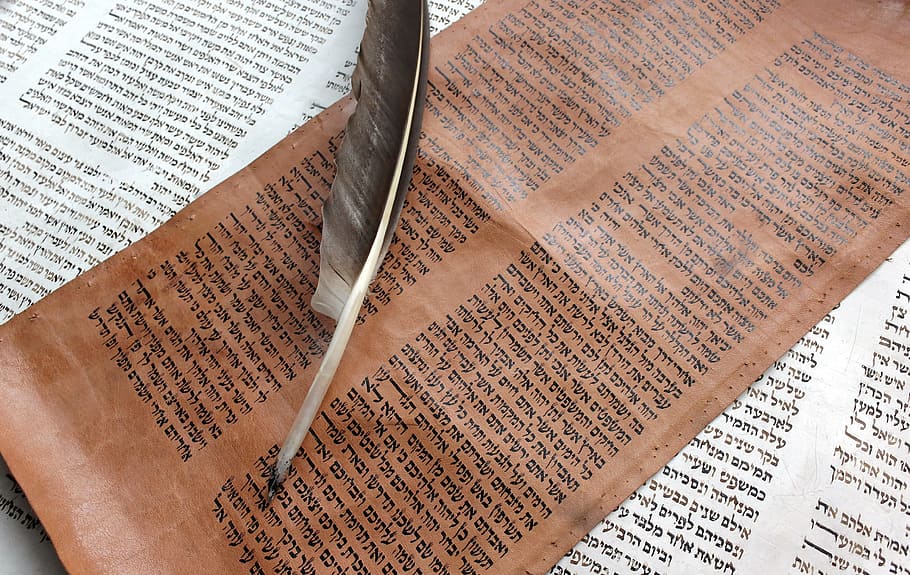 feather, brown, paper, Bible, Old Book, Book, Paper, book, starodruk, old, read
