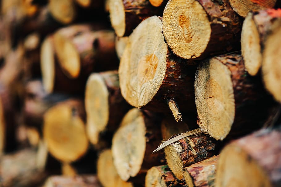 pared de troncos de madera, madera, troncos, pared, otoño, madera - Material, marrón, pila, leña, industria maderera