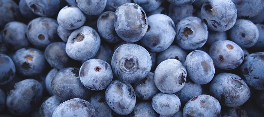 pile of blueberries, blueberries, blue, berry, fruit, fruits, health, greet, nature, food