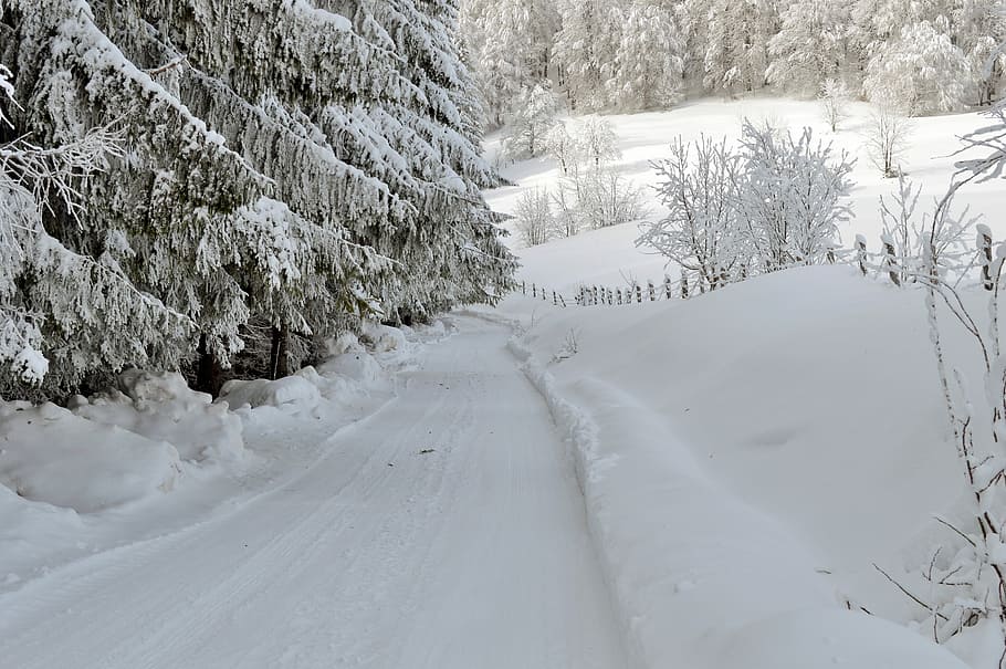 road, full, snow, winter, scene, mountain, wonderland, forest, cold, outdoor