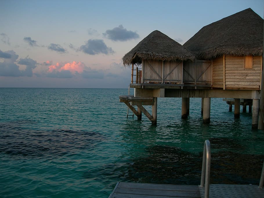 flotante, cabaña, calma, cuerpo, agua, tahití, polinesia francesa, atolón, tikehau, bungalow