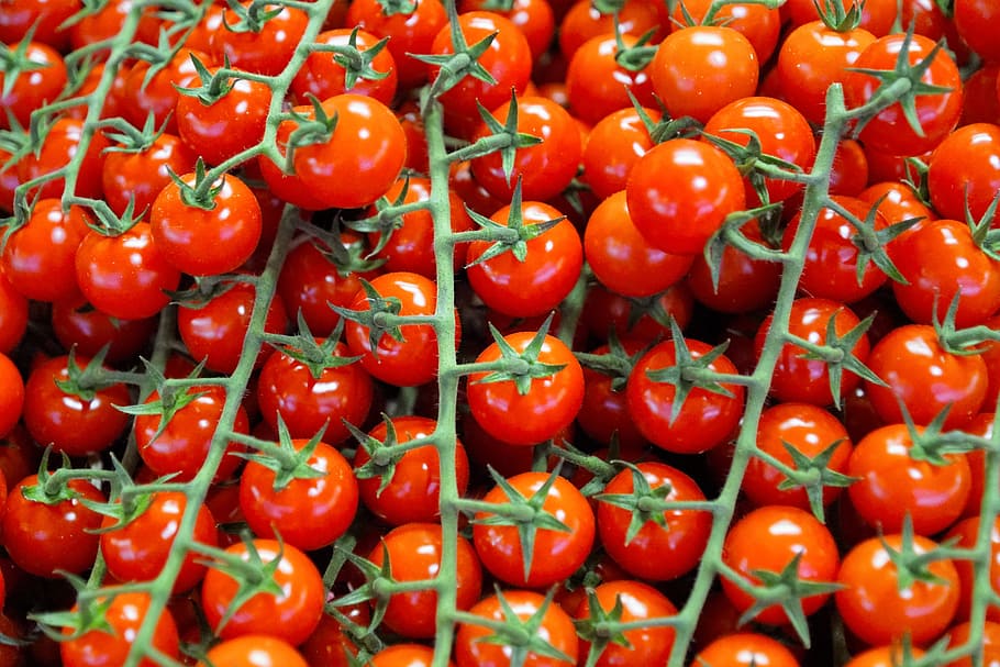 tumpukan tomat, tomat, makan, makanan, vegan, bio, sayuran, salad, sehat, nutrisi