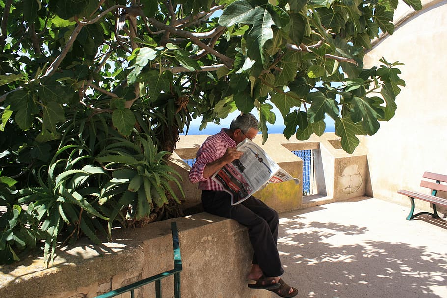 old man, tree, shadow, read newspaper, morning, relax, lesure time, one person, sitting, plant