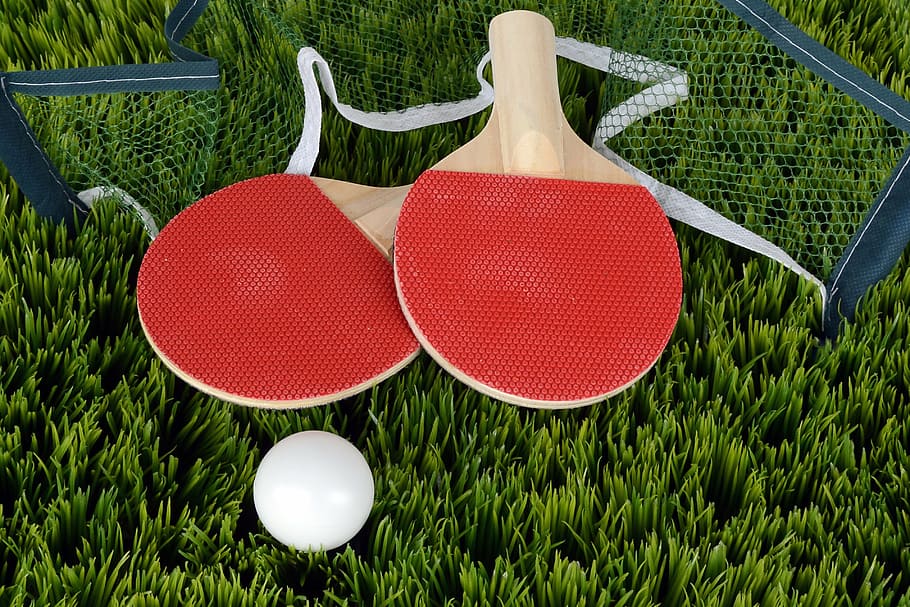 raquete de ping pong, grassfield, tênis de mesa, esporte, jogar, remo, rede, corrida, vermelho, branco