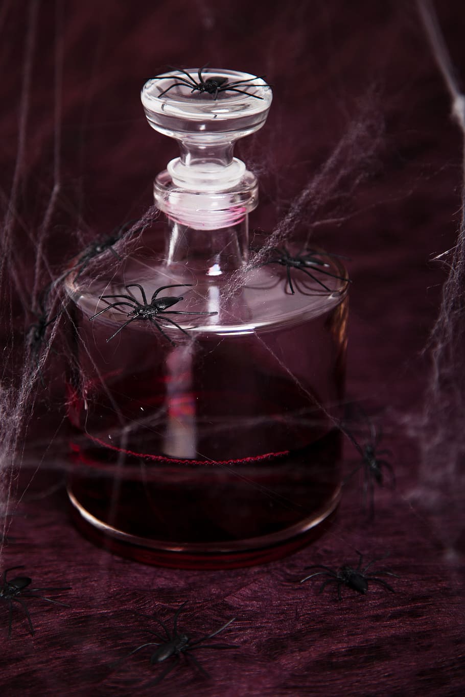close, clear, glass container, red, liquid, inside, animal, arachnophobia, black, blood
