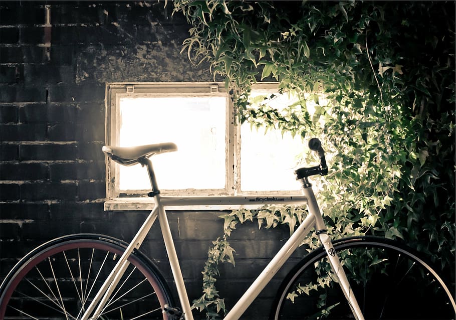 white, road bike park, window, green, plants, bicycle, front, concrete, building, bike
