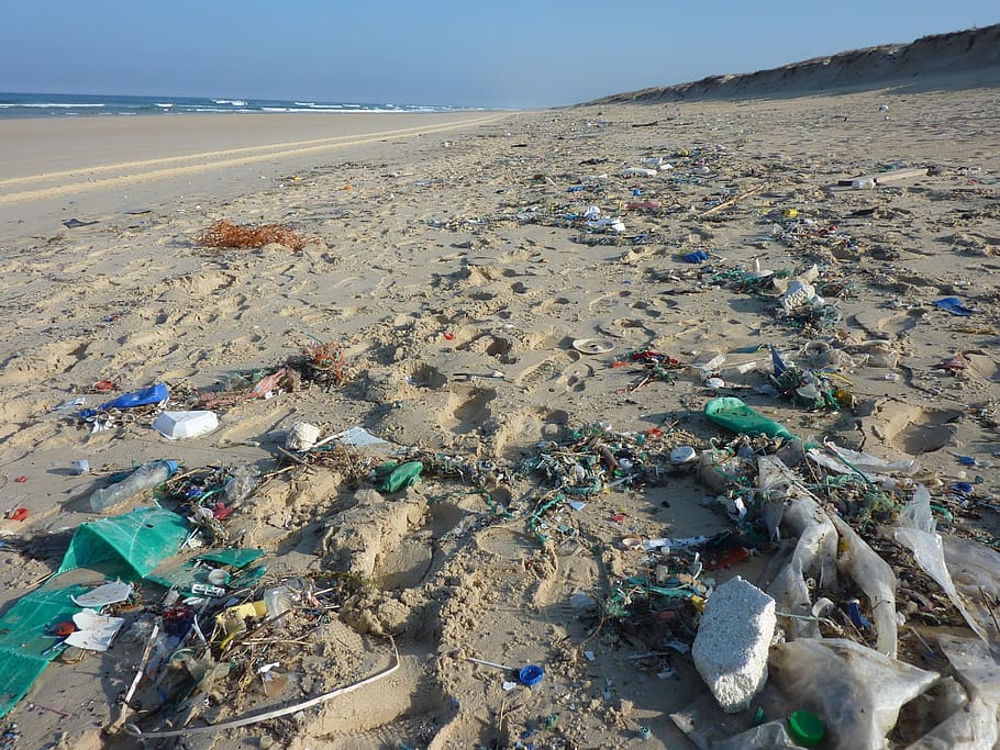 lixo na praia, disfarce, desperdício, custos de linha, costa, praia, lixo, poluição, mar, de praia