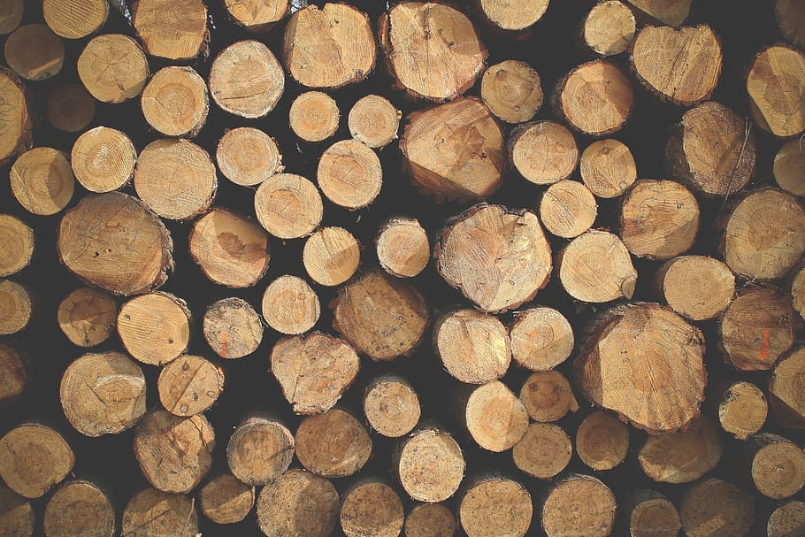 pile, brown, log lot, pallet, logs, texture, pattern, background, wood, natural