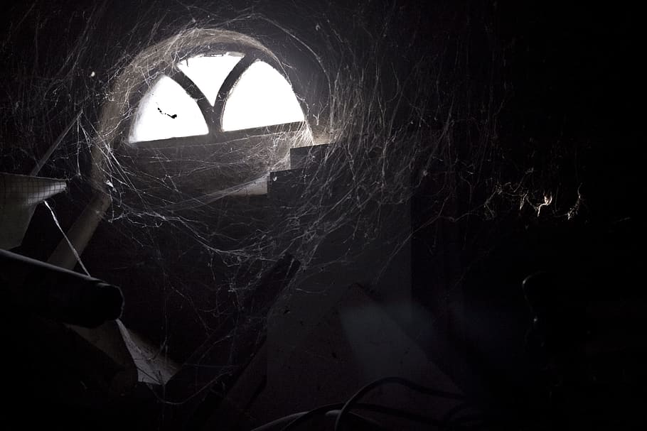 putih, sarang laba-laba, di samping, abu-abu, beton, dinding, jaring laba-laba, cahaya, jendela tua, kegelapan