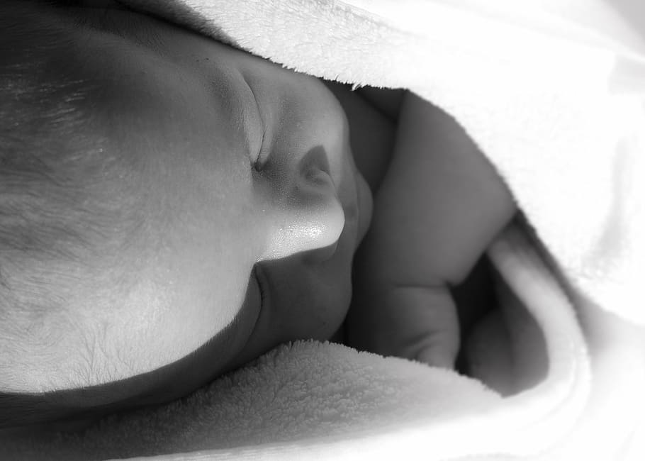 赤ちゃん, 眠っている, 白, 毛布, 保護されている, 甘い, 小さな子供, 幼児, 新生児, 一人