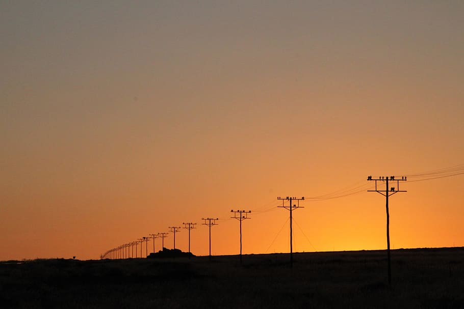 power poles, Utility Poles, electrical towers, dusk, dawn, namibia, africa, desert, sky, sunset
