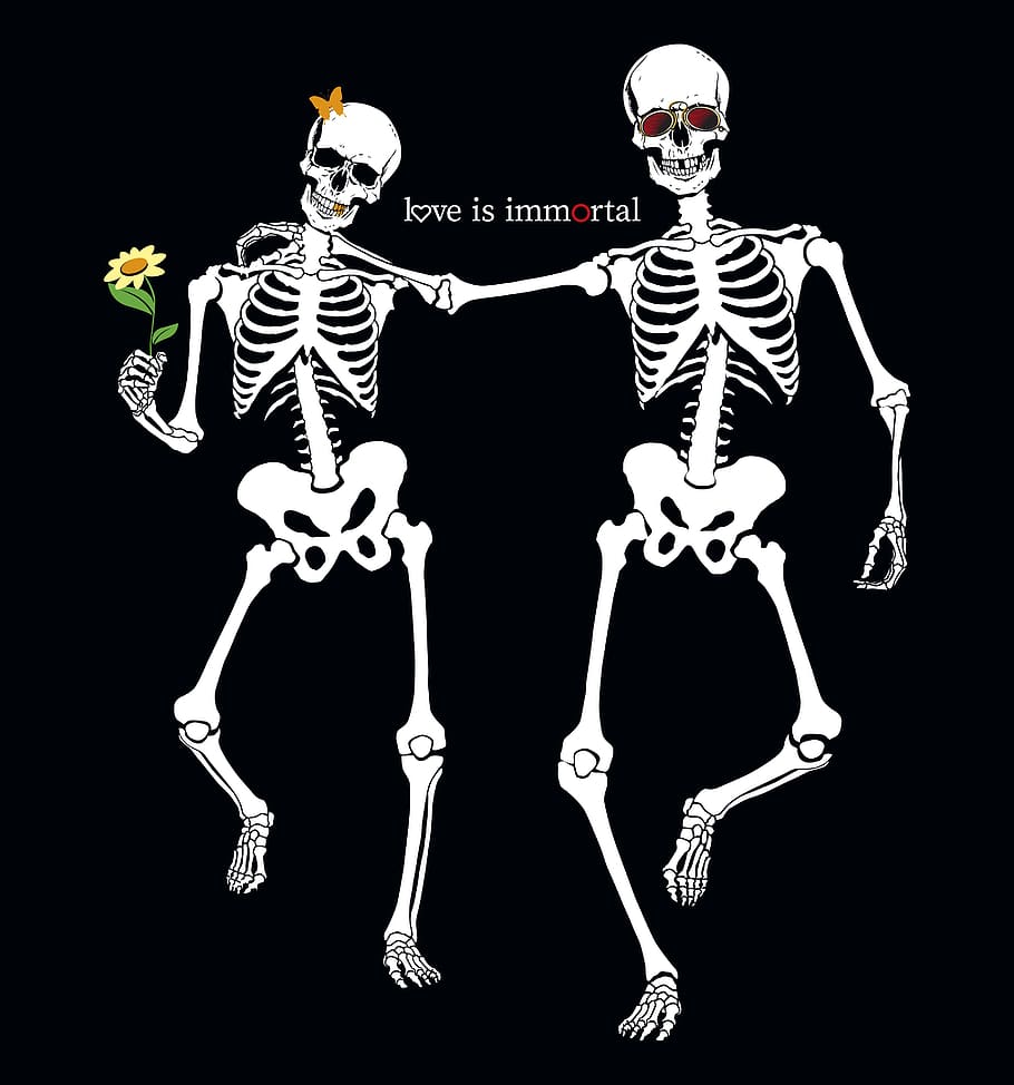 crânio, esqueleto, osso, passeio, homem, amor, pessoas, no entanto, amantes, abraço