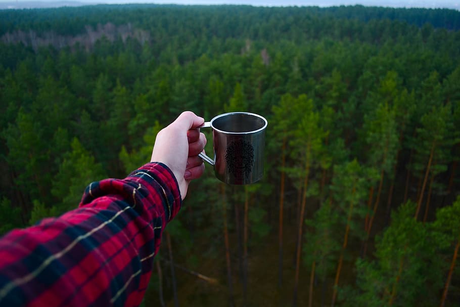 green, plant, nature, forest, arm, hand, mug, cup, travel, outdoor