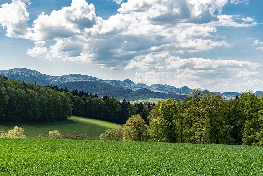 landscape, green, basel-land, switzerland, hill, field, scenic, hiking, grass, nature
