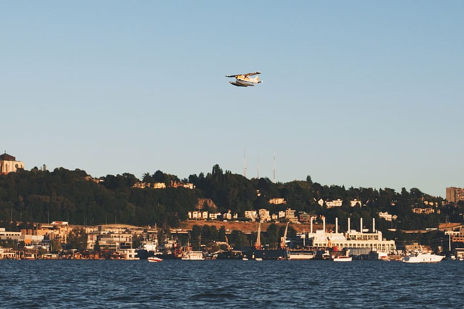 white, concrete, building, water, monoplane, flying, houses, seaplane, buildings, city