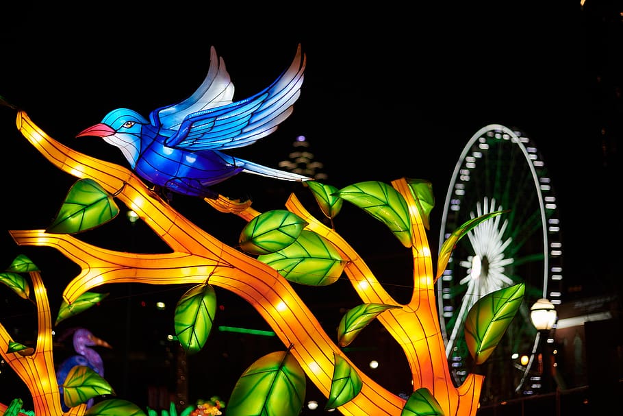 chinese lantern, art, festival, atlanta, olympic park, beautiful, colors, animals, date, tiger