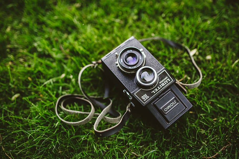 old, camera, photography, black, Vintage, grass, technology, focus on foreground, plant, green color
