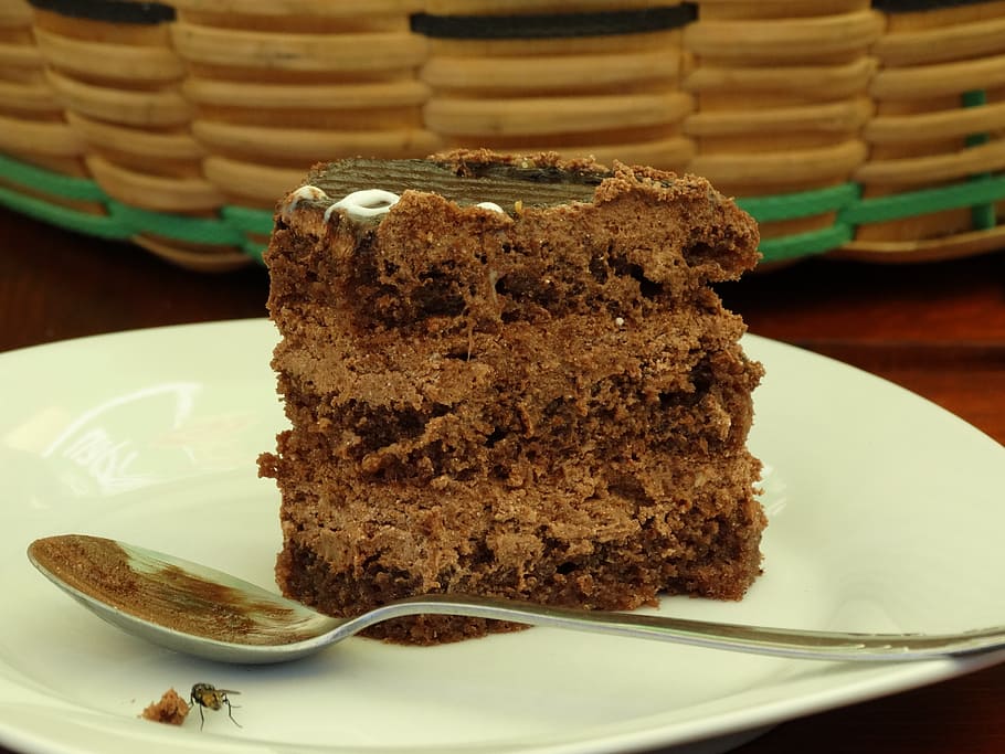 cake, teaspoon, fly, dessert, sweet food, plate, food and drink, sweet, food, indulgence