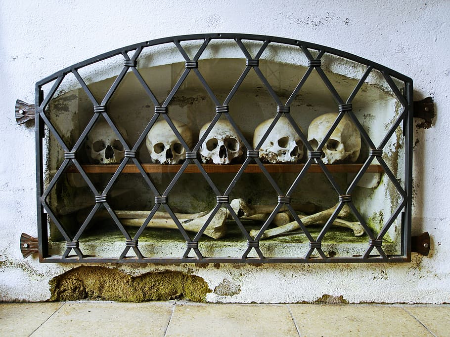 white, skulls, bones, inside, shelf rack, wall, black, metal grill, cover, church