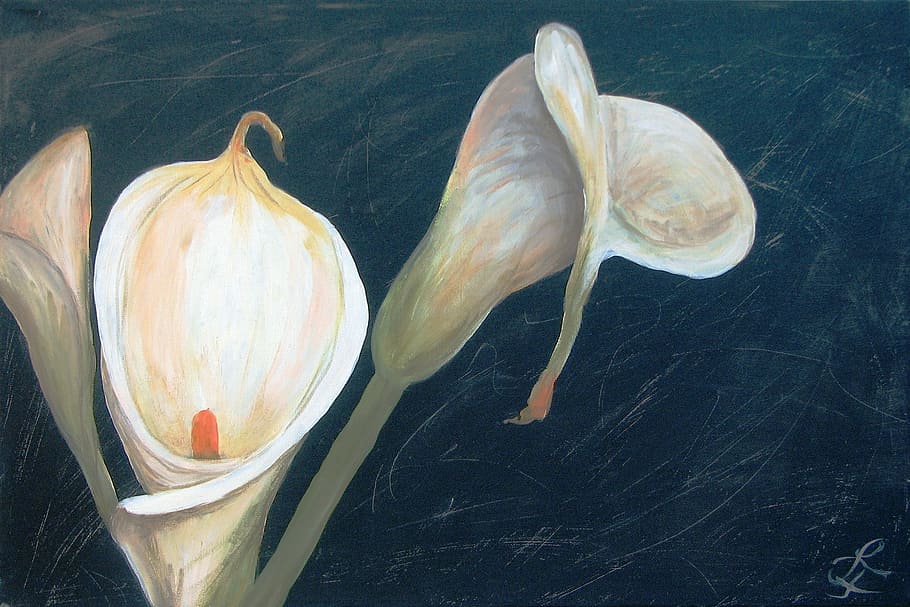 Painting, Acrylic, Calla, White, art, color, decorative, blossom, bloom, fruit