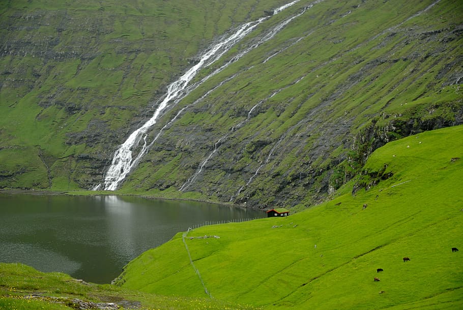 waterfalls, green, mossy mountain, daytime, faroe islands, saksun, cascade, fjord, beauty in nature, scenics - nature