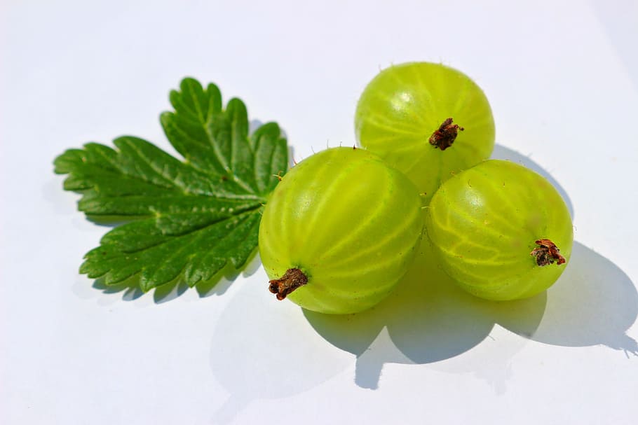 three green olives, Gooseberry, Leaf, Berry, green, food, fruit, freshness, nature, green Color