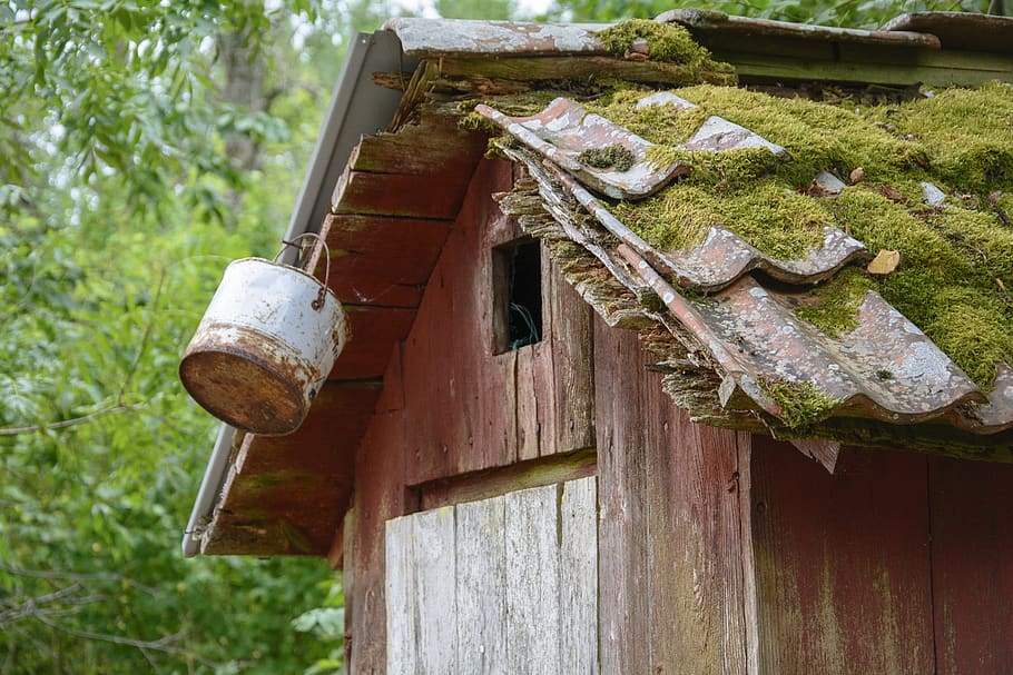 klohaeuschen, old, structure, plumpsklosett, wood, klo cottage, toilet cabin, outhouse, forest, woods