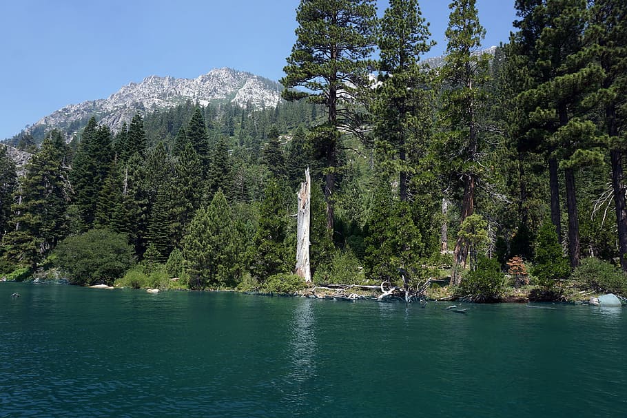 Lake Tahoe, Emerald Bay, Baía, lago, verão, natureza, montanhas, pinho, cenário, cênico