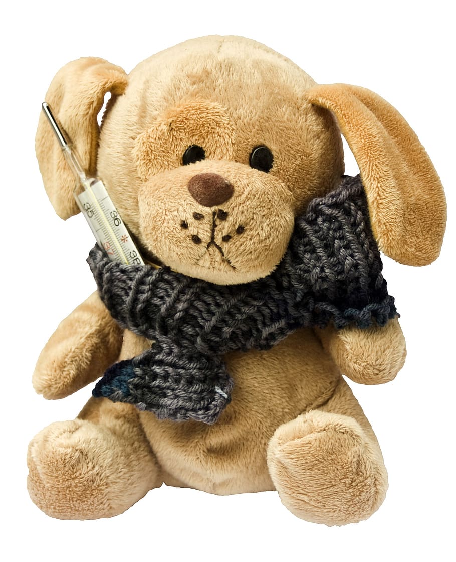 brown, bear, wearing, crocheted scarf, thermometer, neck, plush, toy, teddy, dog