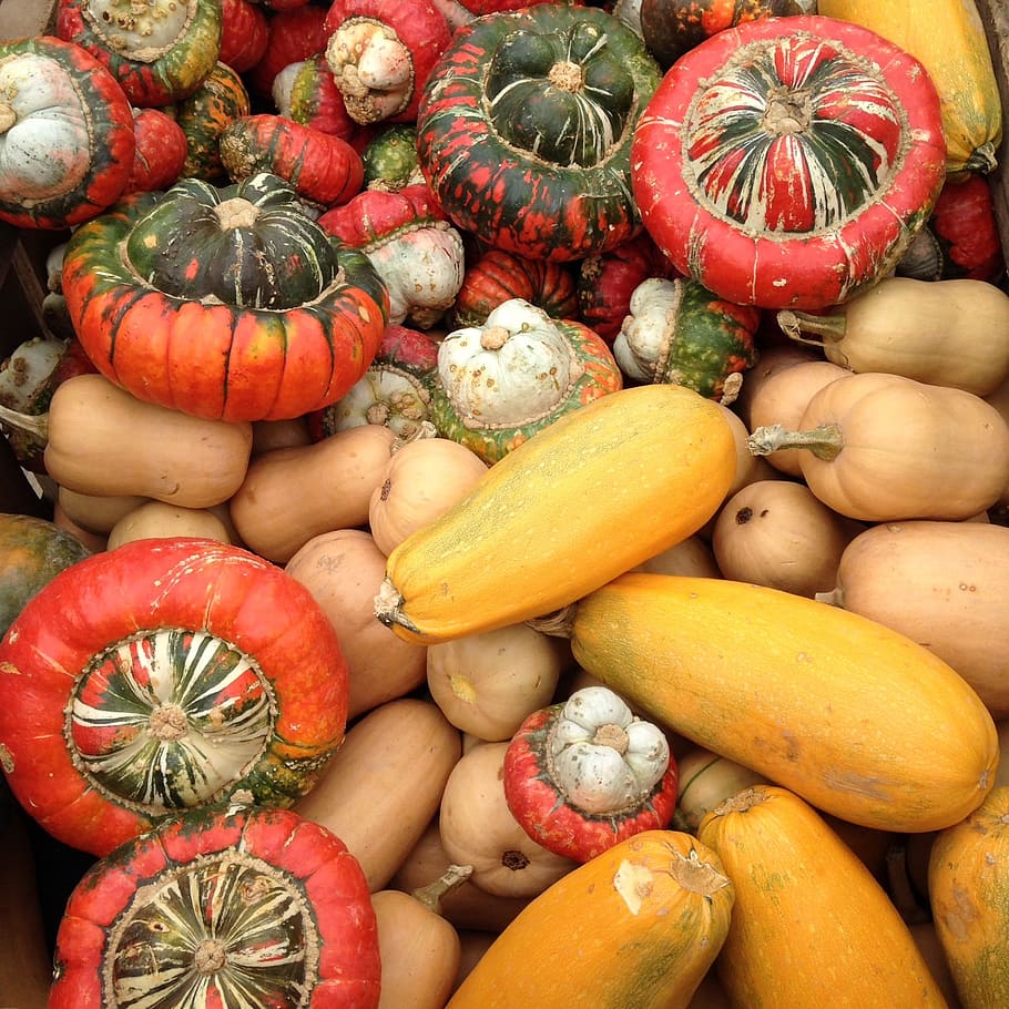 カボチャ 秋 果樹園 オレンジ 11月 10月 食べ物や飲み物 食べ物 野菜 健康的な食事 Pxfuel