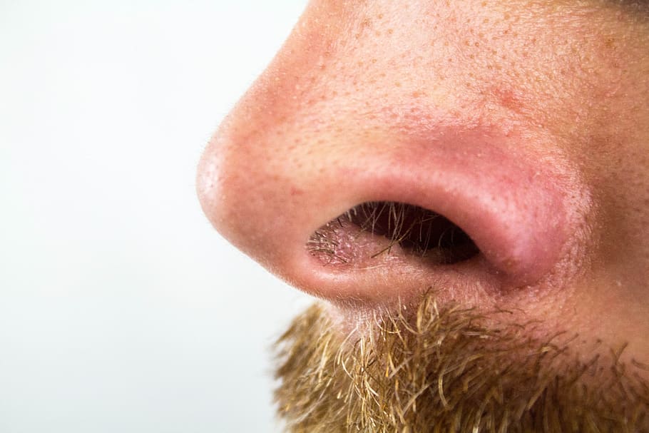 nariz, fosas nasales, pelos nasales, puntos negros, bart, parte del cuerpo humano, parte del cuerpo, barba, primer plano, vello facial